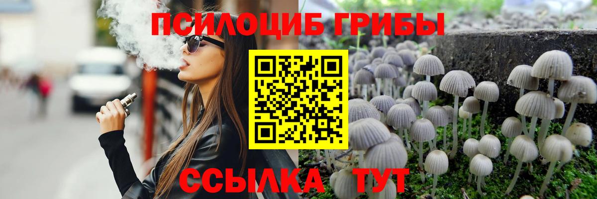 Галлюциногенные грибы прущие грибы  Вход с VPN  как найти закладки  Приморско-Ахтарск 